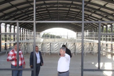 Baskan Altun Yari Olimpik Yüzme Havuzunda Incelemelerde Bulundu