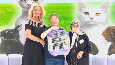 Müge Anli, Evden Kaçan Kusu Bulup Sahibine Kavusturdu
