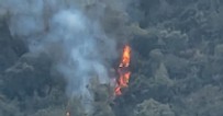 Marmaris’te orman yangını!