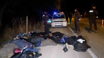 Polisin 'Dur' Ihtarina Uymayan Göçmen Kaçakçilari Kaza Yapti, 9 Göçmen Yakalandi