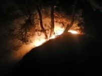 Karabük'te Orman Yangini Açiklamasi 5 Dönüm Alan Zarar Gördü Haberi