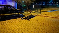 Bursa'da Kan Donduran Cinayet Ani Kamerada