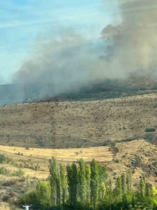 Çankiri'da Orman Yangini Açiklamasi Havadan Ve Karadan Müdahale Ediliyor