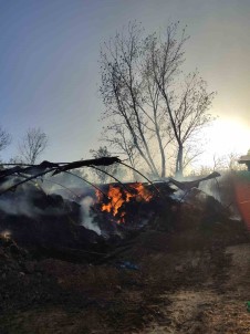 Tekirdag'da 3 Bin Balya Saman Alev Alev Yandi