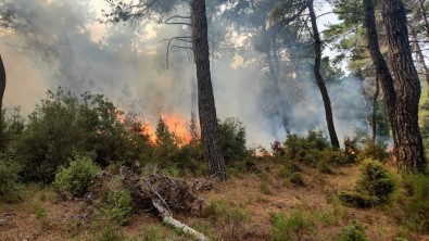 Gelibolu'da Yildirim Düsmesi Sonucu Bir Yangin Daha