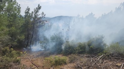 Gelibolu'da Yildirim Düsmesi Sonucu Çikan Orman Yanginina Havadan Ve Karadan Müdahale Ediliyor