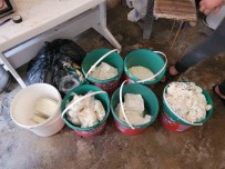 (Özel) Peynir Imalathanesinde Sok Görüntüler