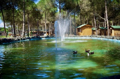 Tabiat Harikasi Çarsamba Orman Park Hayran Birakiyor