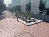 Devlet Hastanesi Çevre Düzenlemesi Sonrasi Yeni Çehresine Kavustu