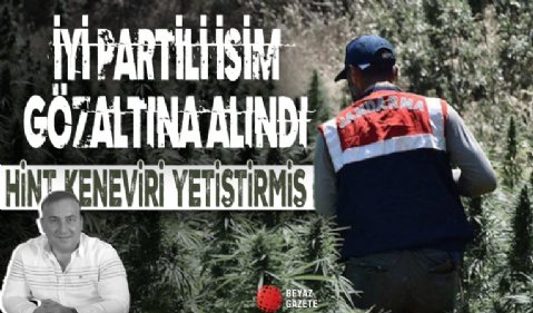 İyi Partili meclis üyesinin tarlasına hint keneviri operasyonu