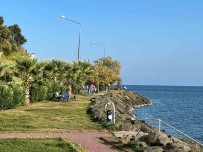 Sinop'un Dis Ticareti Yüzde 26,1 Artti