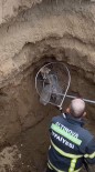 Yalova'da Çukura Düsen Tilki Kurtarildi