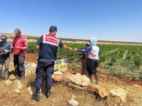 Jandarma, Çiftçileri Aniz Yanginina Karsi Brosür Ile Uyardi