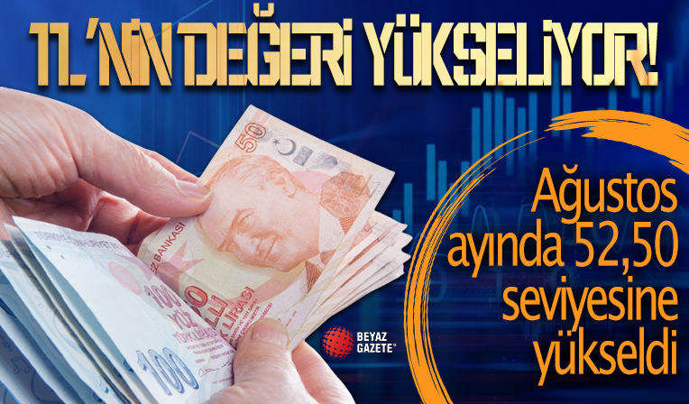 TL'nin değeri yükseliyor: Ağustos ayında 52,50 seviyesine yükseldi