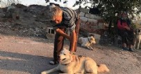 Ankara'da korkunç olay! Köpekleri besliyor diye kafasından vuruldu