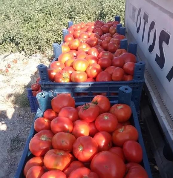 CHP’li belediyeden pişkinlik