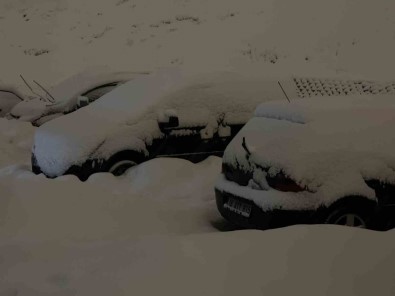 Yüksekova'da Kar Kalinligi 20 Santimetreyi Buldu Açiklamasi Araçlar Kara Gömüldü