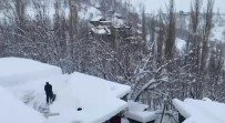 Bahçesaray'da Kar Etkili Oluyor