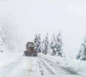 Giresun'da 45 Köy Yolu Kar Nedeniyle Ulasima Kapandi Haberi