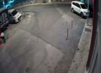 Köpegi Öldüren Saniktan Ilginç Savunma