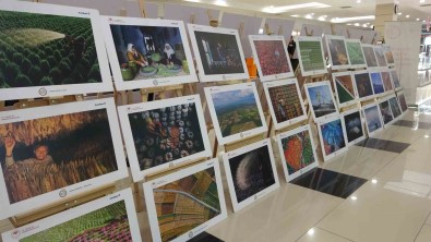 Tarim, Orman Ve Insani Anlatan Fotograflar Usaklilarla Bulustu