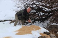 Siirt'te Kar Altindaki Yaban Hayvanlarina Yem Birakildi