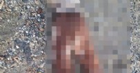 Alanya’da sahilde çocuk cesedi bulundu