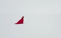 Çildir Gölü'nde Artistik Buz Pateni Keyfi Haberi