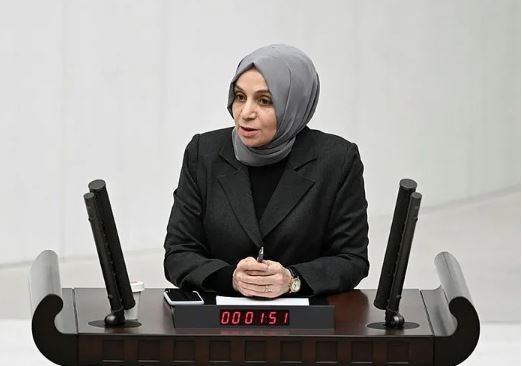 Başkan Erdoğan'dan DEM'le ortaklığı unutup AK Partili Leyla Şahin Usta'yı hedef alan CHP'li Ali Mahir Başarır'a Türk bayrağı tepkisi: O sizin cibiliyetinizde var