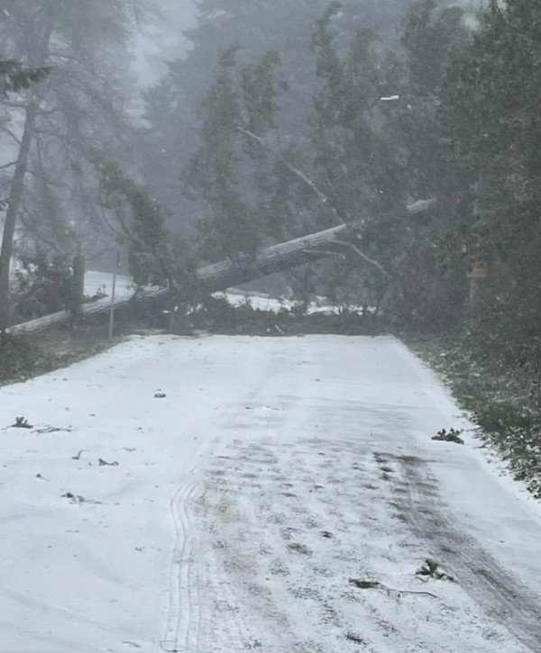 Bir haftadır etkili oluyor! ABD kabusu yaşıyor: 41 kişi hayatını kaybetti