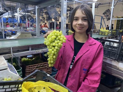 Alasehir Gümrügünden 230 Bin Ton Tarimsal Gida Ihraç Edildi