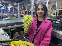 Alasehir Gümrügünden 230 Bin Ton Tarimsal Gida Ihraç Edildi