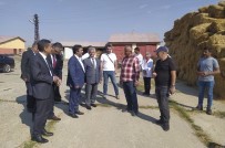 DAP'ta Proje Sayisinda Erzurum, Harcama Rakaminda Malatya Sampiyon