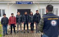 Osmaniye'de 6 Düzensiz Göçmen Yakalandi Haberi