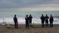 Otelin Sahilinde Kimligi Belirsiz Erkek Cesedi Bulundu, Bir Haftada Bununan Ceset Sayisi 6 Oldu