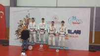 Judo Sampiyonasi'na Sivas Damgasi