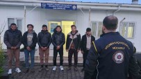Osmaniye'de 6 Kaçak Göçmen Yakalandi, 1 Organizatör Tutuklandi Haberi