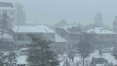 Muradiye'de Kar Yagisi