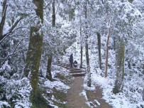 Tayvan'da Soguk Hava Dalgasi Açiklamasi 2 Günde 145 Kisi Öldü