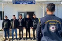 Osmaniye'de 5 Düzensiz Göçmen Yakalandi Haberi