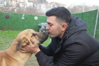 'Yürüyemez' Dendi, 1,5 Ayda Ayaga Kalkti