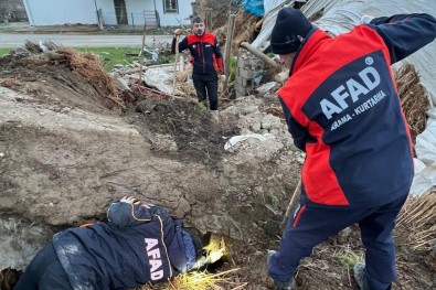 Batman'da Ahir Çöktü Açiklamasi 8 Yavru Köpekten 5'I Kurtarildi