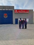 5 Yil Hapis Cezasi Ile Aranan Sahis Jandarma Yakaladi