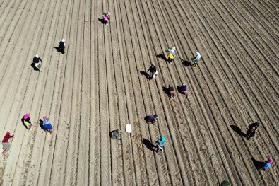 Çiftçilerin Destek Ödemeleri Basladi