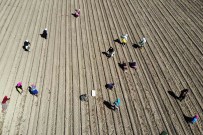 Çiftçilerin Destek Ödemeleri Basladi