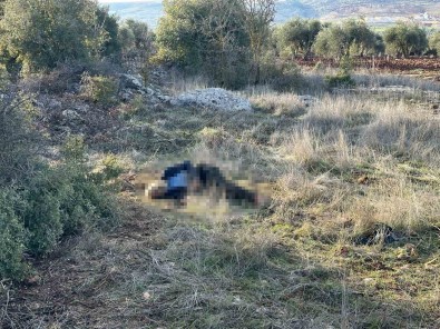 Kilis'te Alzaymir Hastasi Yasli Adam Ölü Bulundu