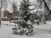 Ardahan'da Karla Gelen Essiz Güzellik Haberi