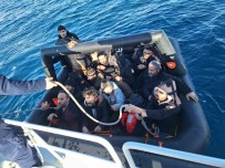 Izmir Sularinda Göçmen Hareketliligi