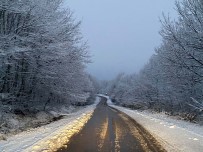 Karla Mücadele Ekipleri Teyakkuzda