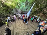 5 Turistik Alani 263 Bin Kisi Ziyaret Etti